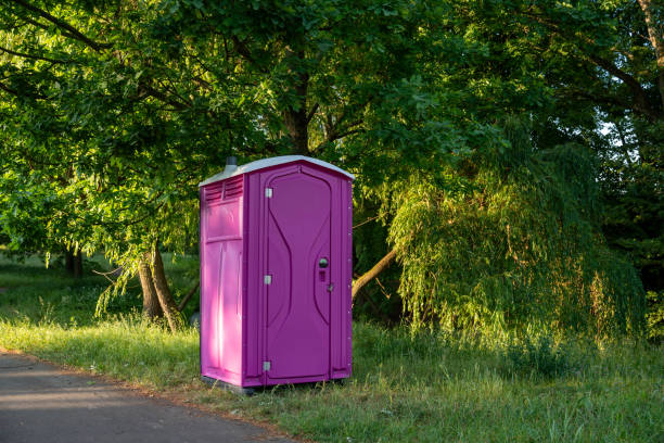 Portable Toilet Options We Offer in Tarpon Springs, FL